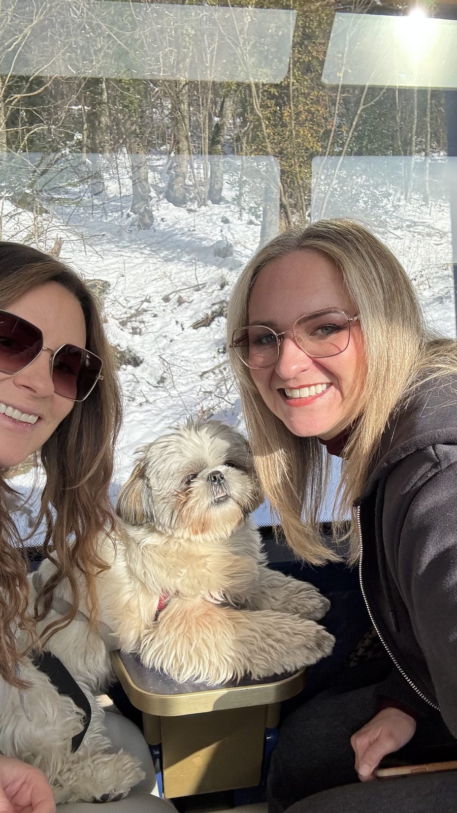 On the GoldenPass train to Gstaad with Auntie Cheryl and Daisy