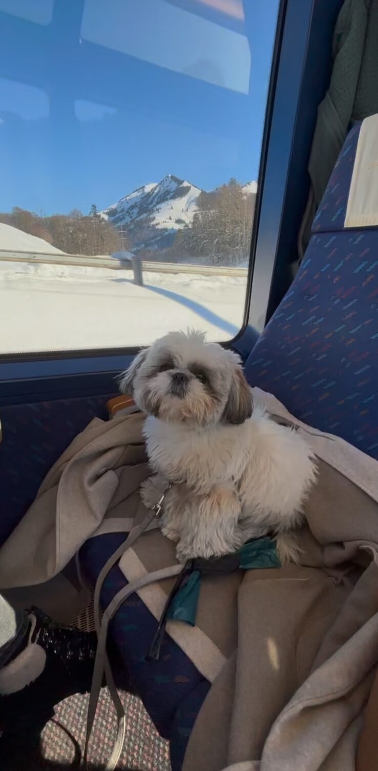 Daisy's window seat on the train into the mountains