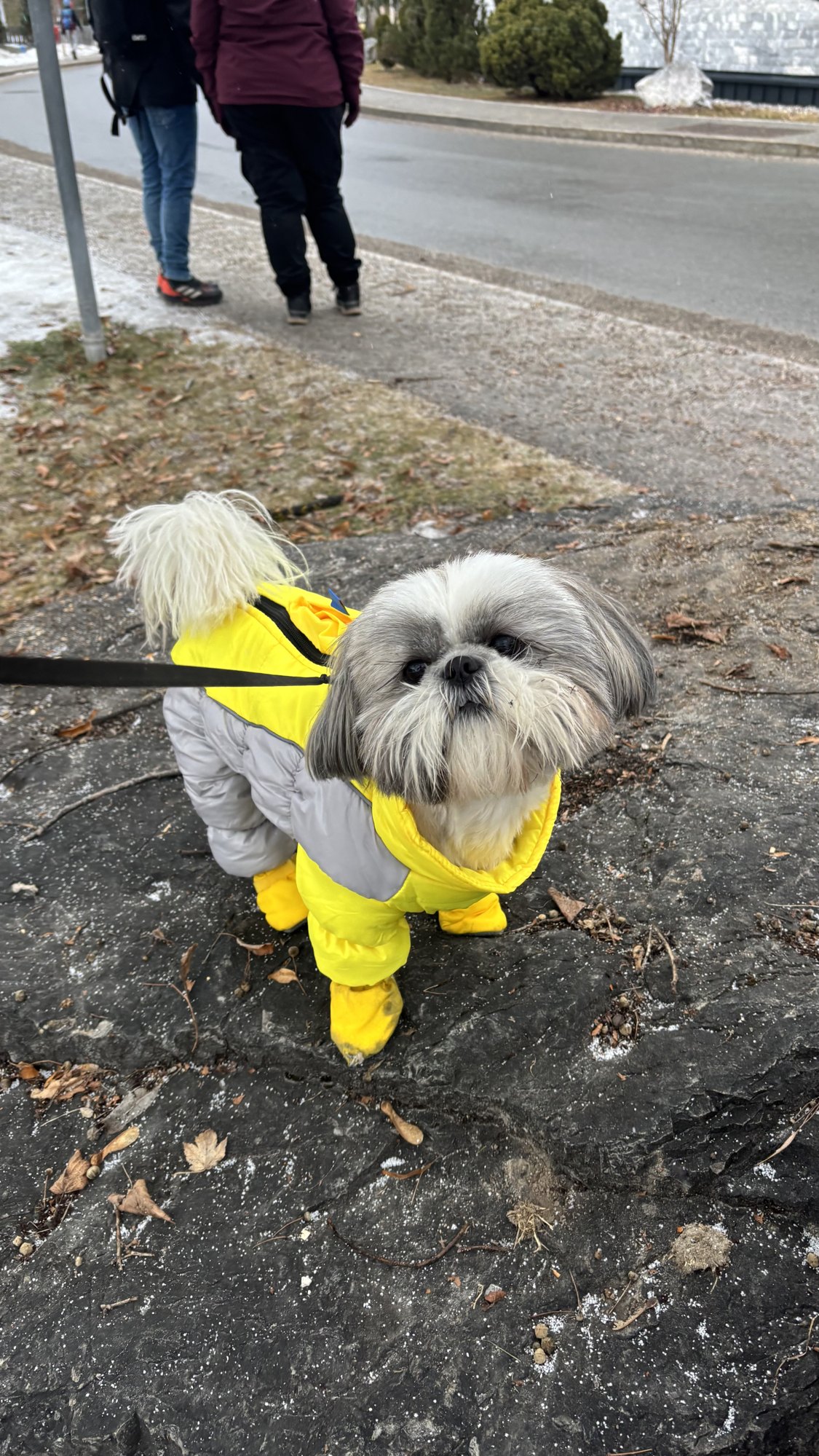 Back to raincoat weather, which is how you know you've landed on the right side of the Channel
