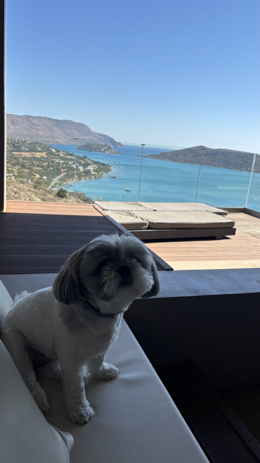 The view of the trip, supervised by Daisy