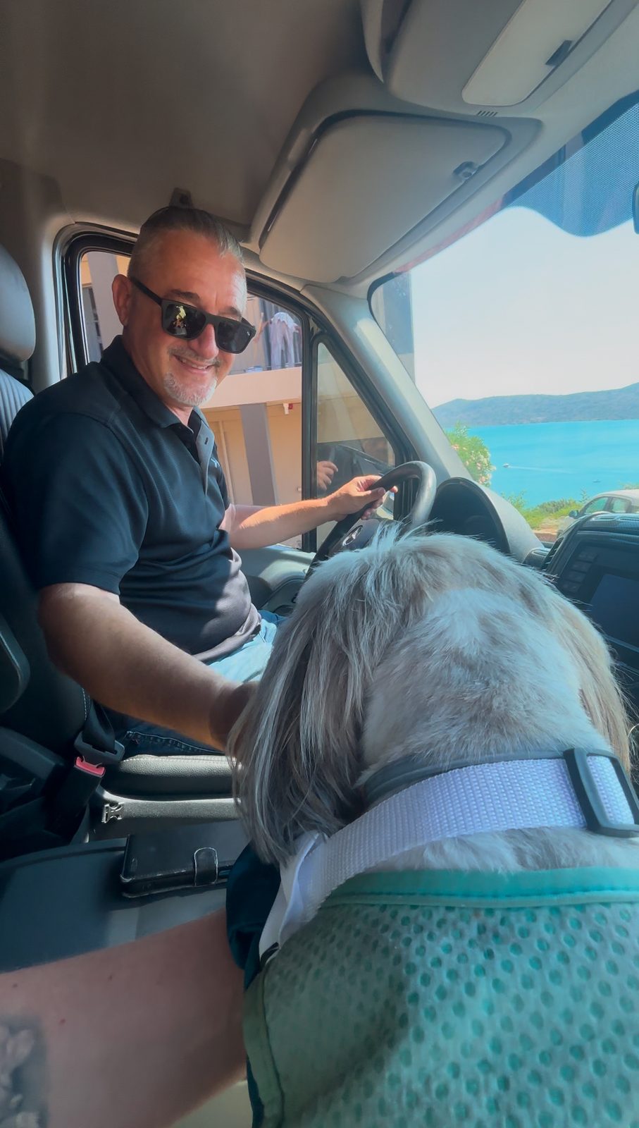 Daisy arriving at dog friendly all inclusive Domes Aulus Elounda Crete, already making friends with the driver