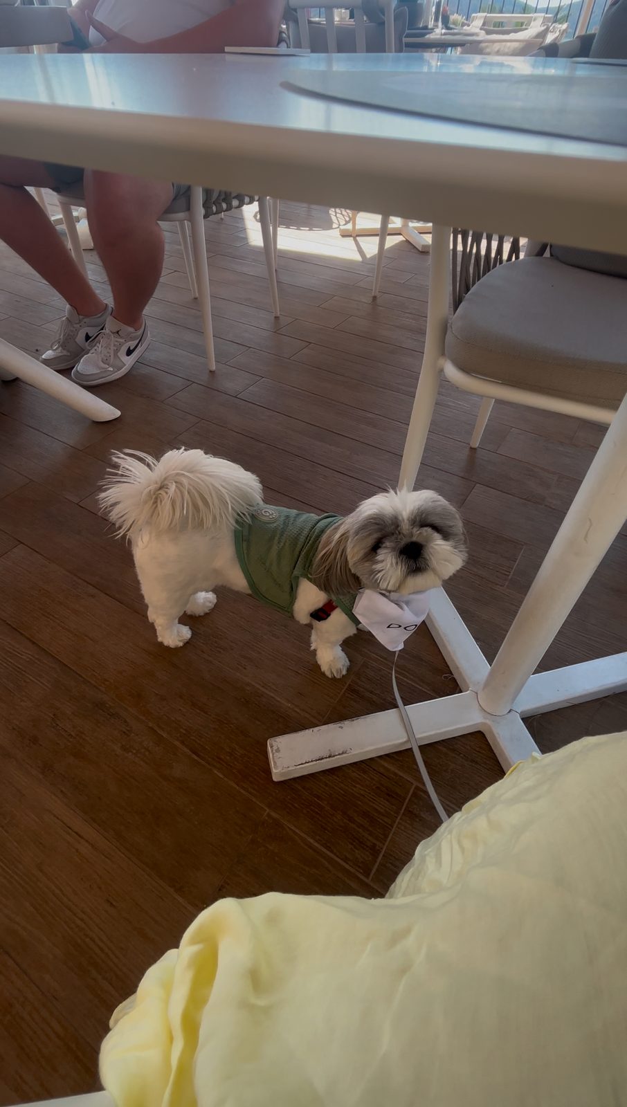 Daisy at her table, waiting on the eggs and bacon