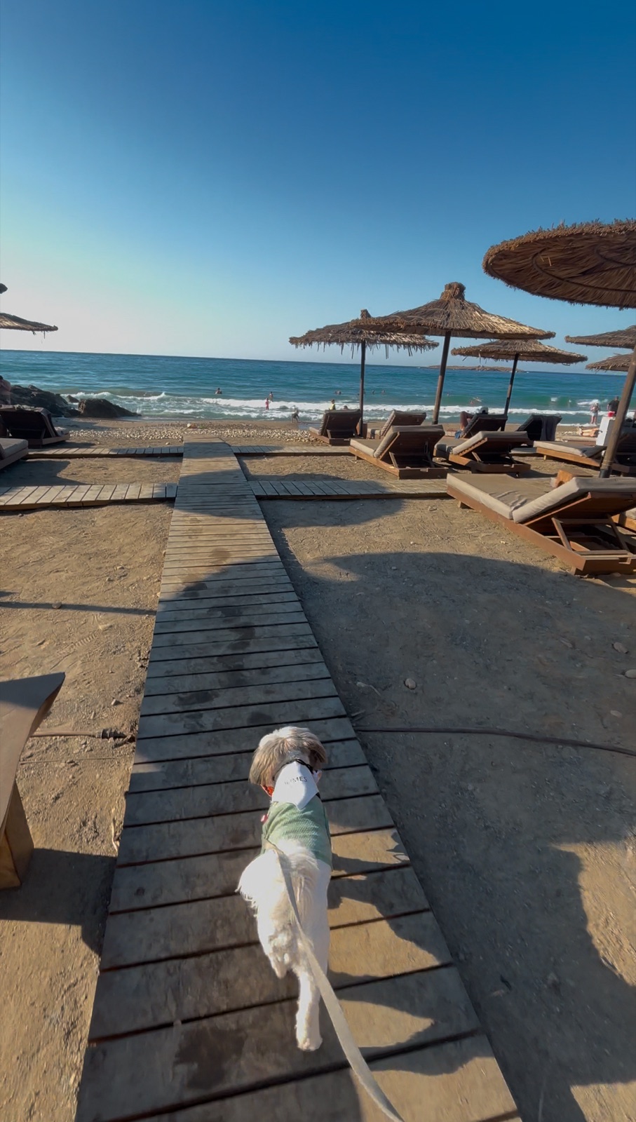 Luxury travel with Daisy