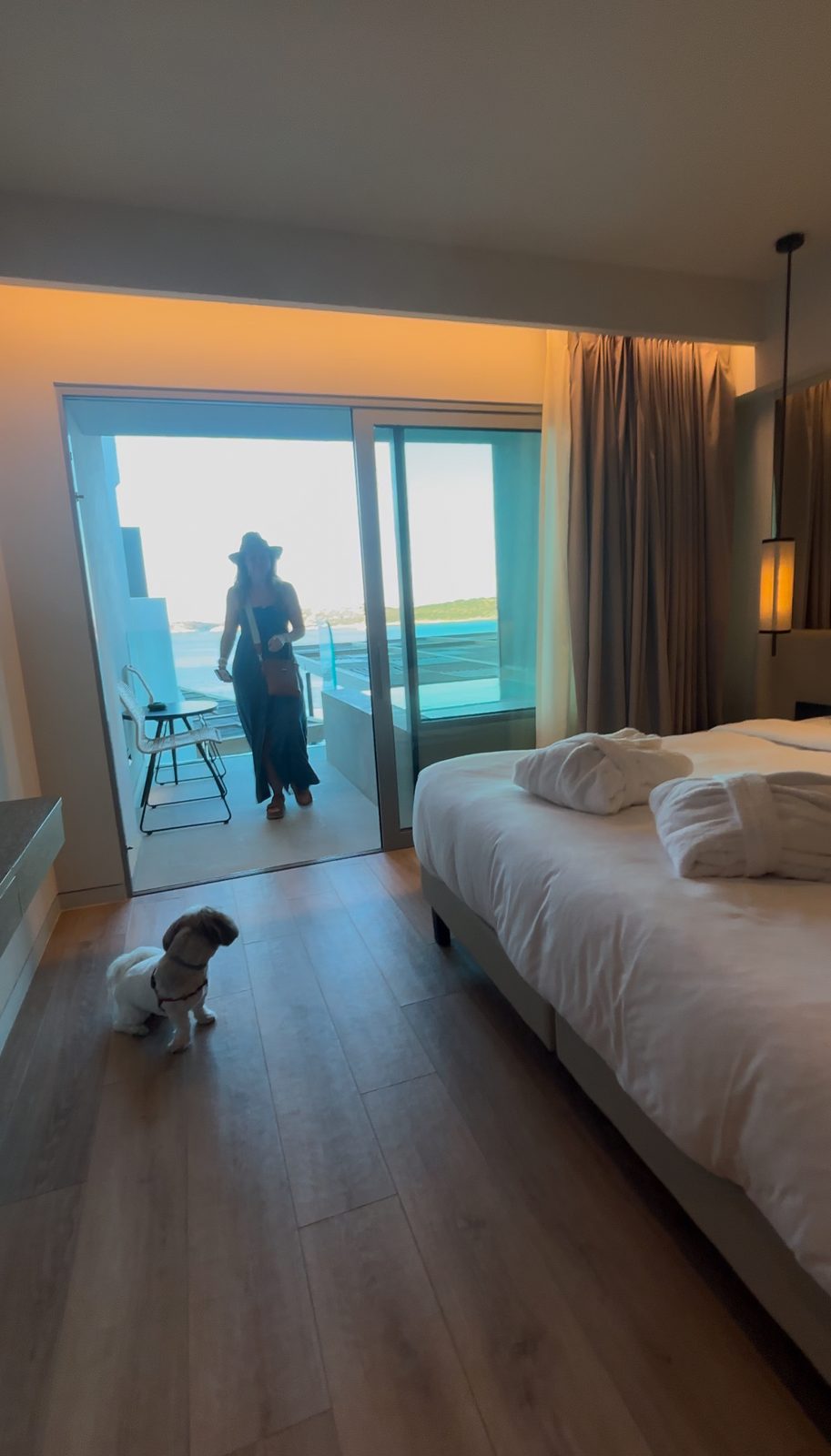 Daisy taking in the sea view room