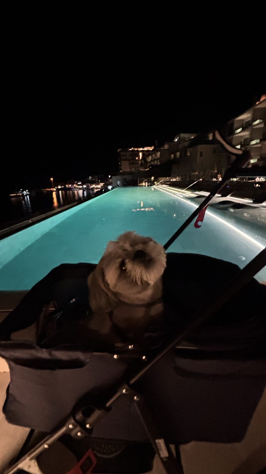The infinity pool after dark, on Daisy's evening rounds.