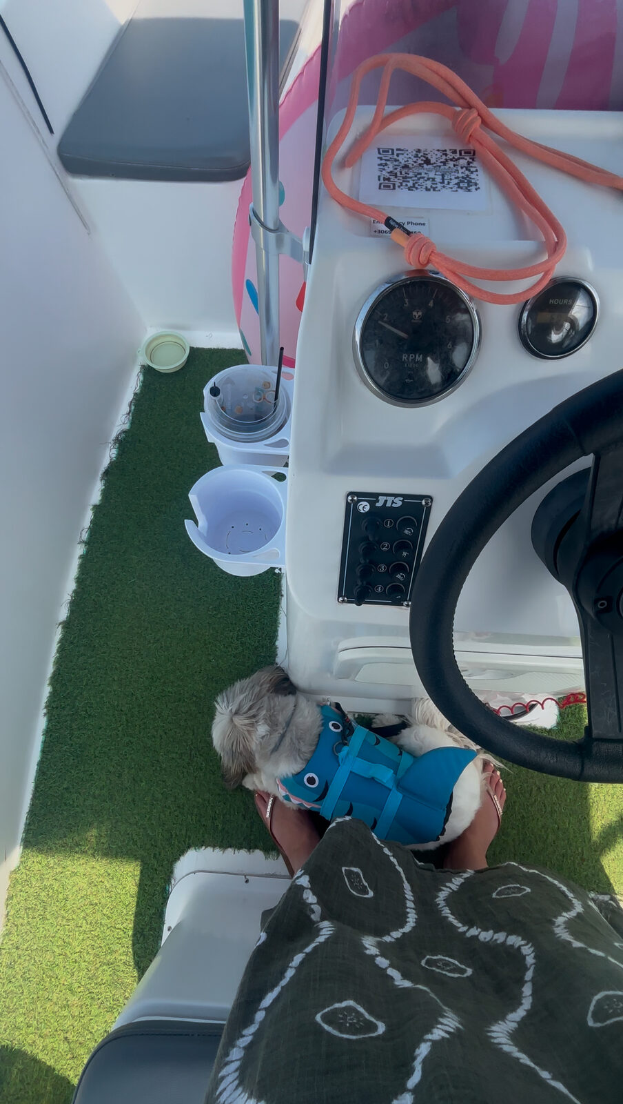 Daisy inspecting the helm, which is roughly how much say she gets in the route home