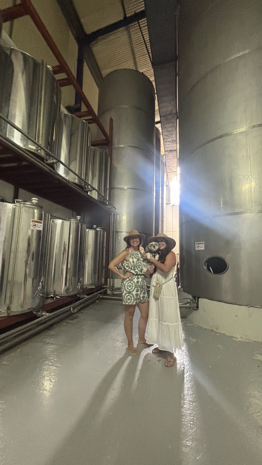Standing among the stainless steel olive oil storage tanks inside the Vassilakis Estate factory in Crete