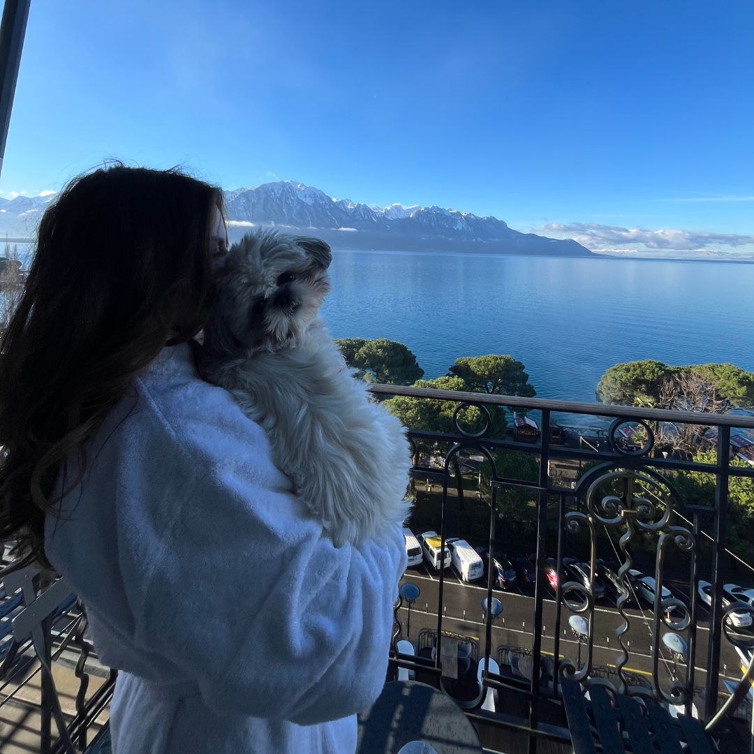 dog friendly luxury travel dog friendly luxury travel
