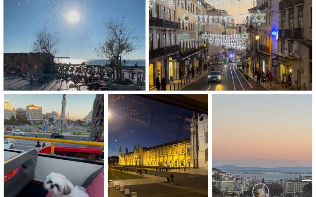 Dog‑Friendly Lisbon: A Guide How to Spend a Day with Your Dog
