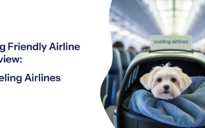 Flying with Dogs Vueling: Honest Pet Policy Review & Experience Guide