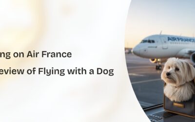 Flying with Dogs Air France: Complete 2025 Pet Policy Review & Experience Guide