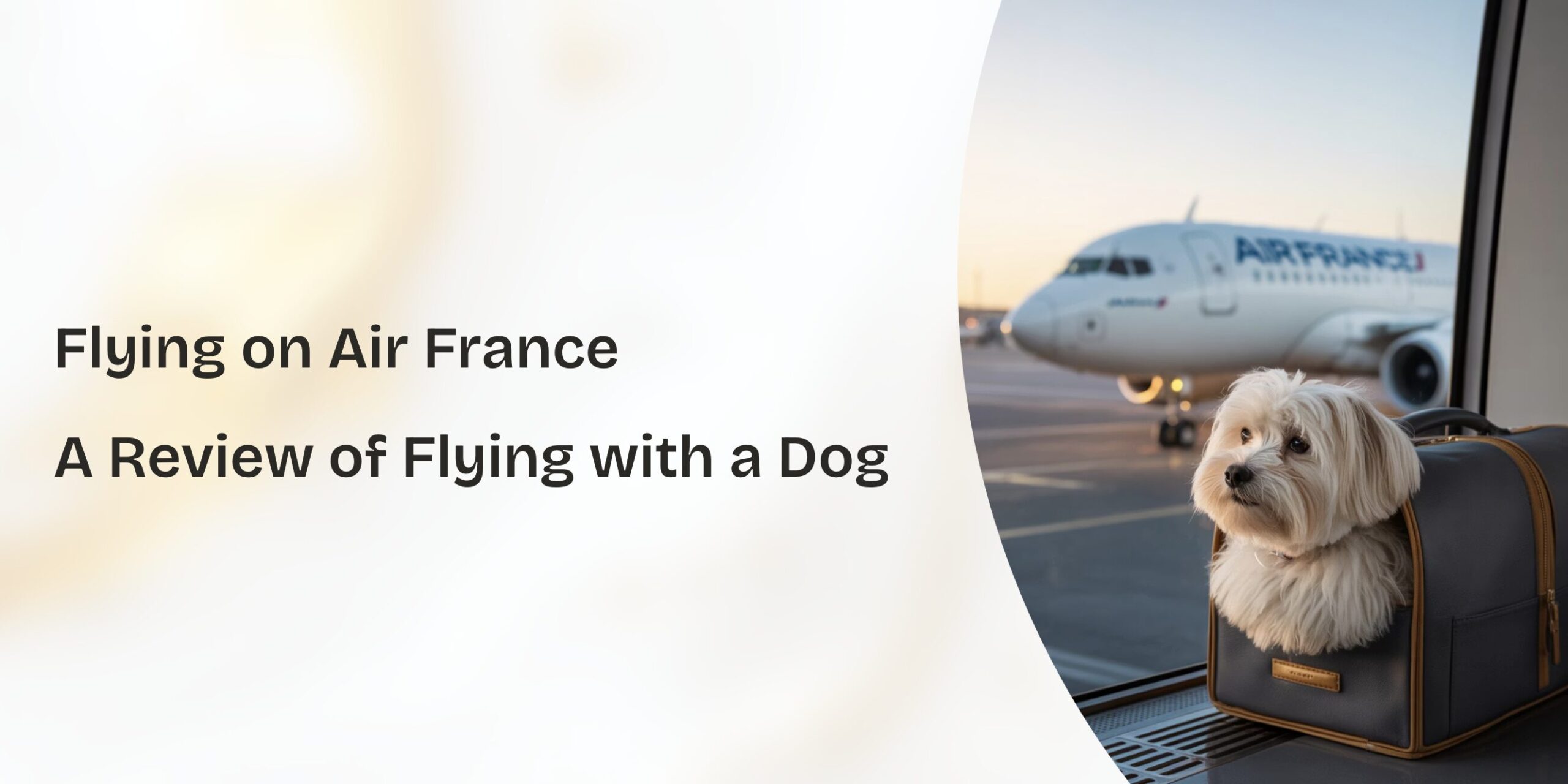 flying with your dog on airfrance review