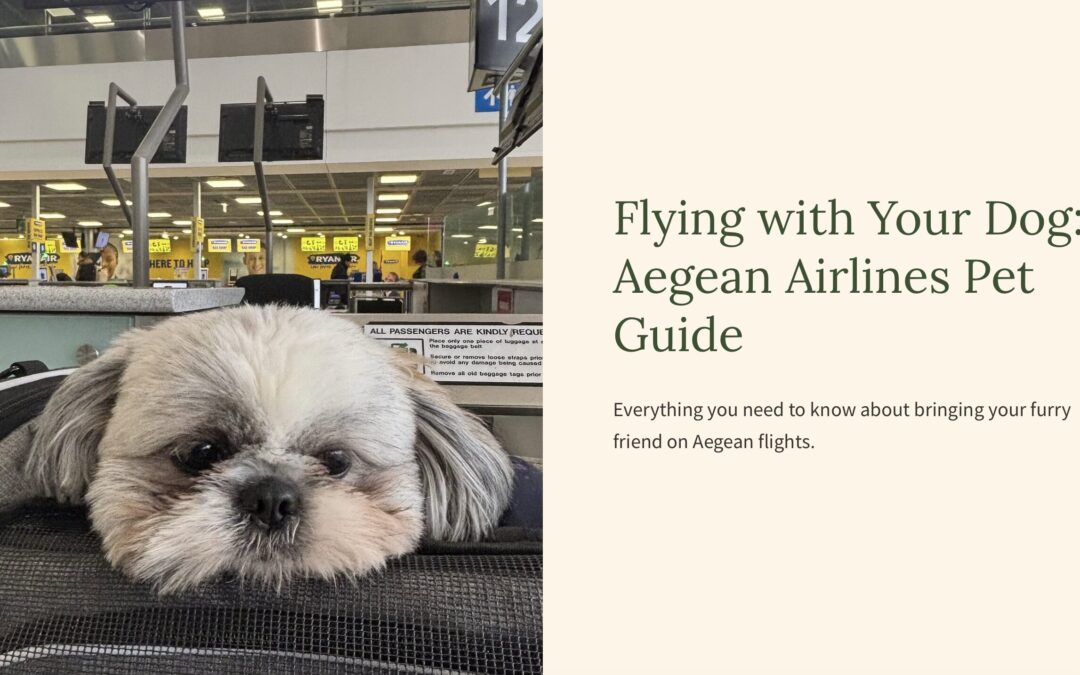 Flying with Dogs Aegean Airlines: Complete 2025 Pet Policy Review & Experience Guide