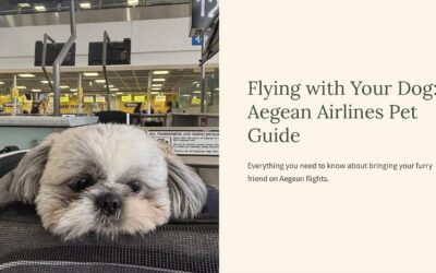 Flying with Dogs Aegean Airlines: Complete 2025 Pet Policy Review & Experience Guide