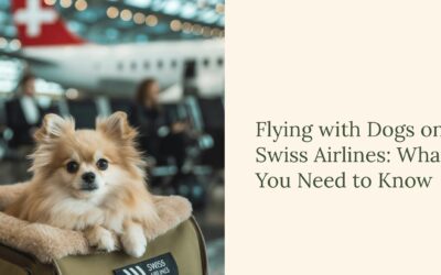 Flying with Dogs Swiss Airlines: Why I’ll Never Fly Them Again