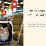 tap air portugal dog friendly review