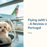 Flying with Your Dog on TAP Air Portugal: 4.5‑Star In‑Cabin Pet Review