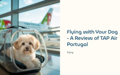 Flying with Dog In-Cabin: TAP Air Portugal Pet‑Friendly Review