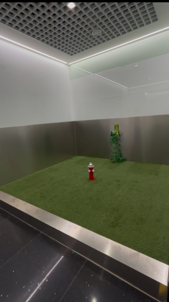 pet relief lisbon airport