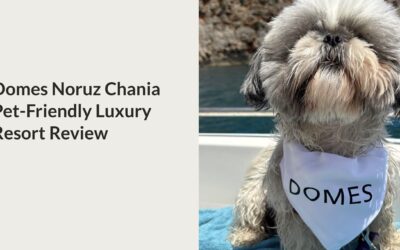Domes Noruz Chania Crete Review: Luxury Pet-Friendly Resort That Treats Dogs Like Royalty