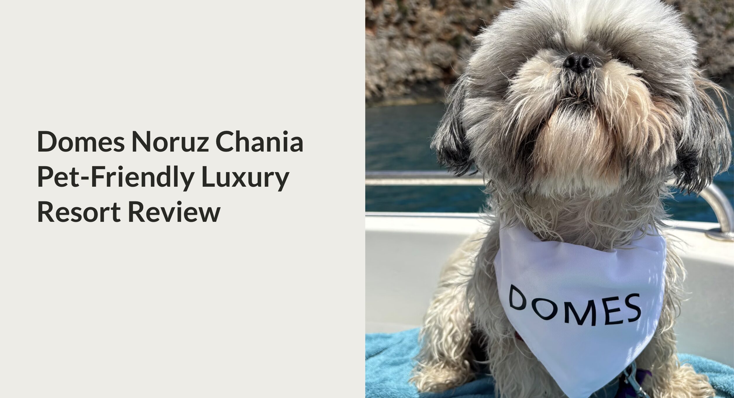 dog friendly hotels crete