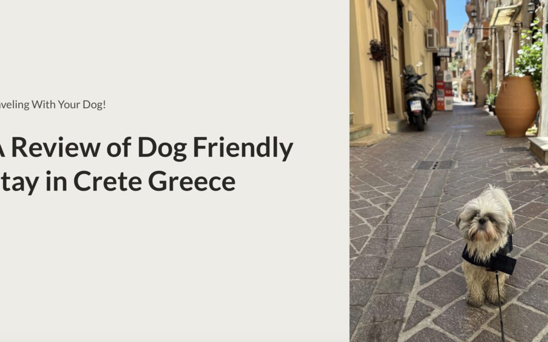 Crete with Your Dog: The Ultimate Pet-Friendly Greek Island Experience