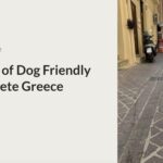 dog friendly Crete