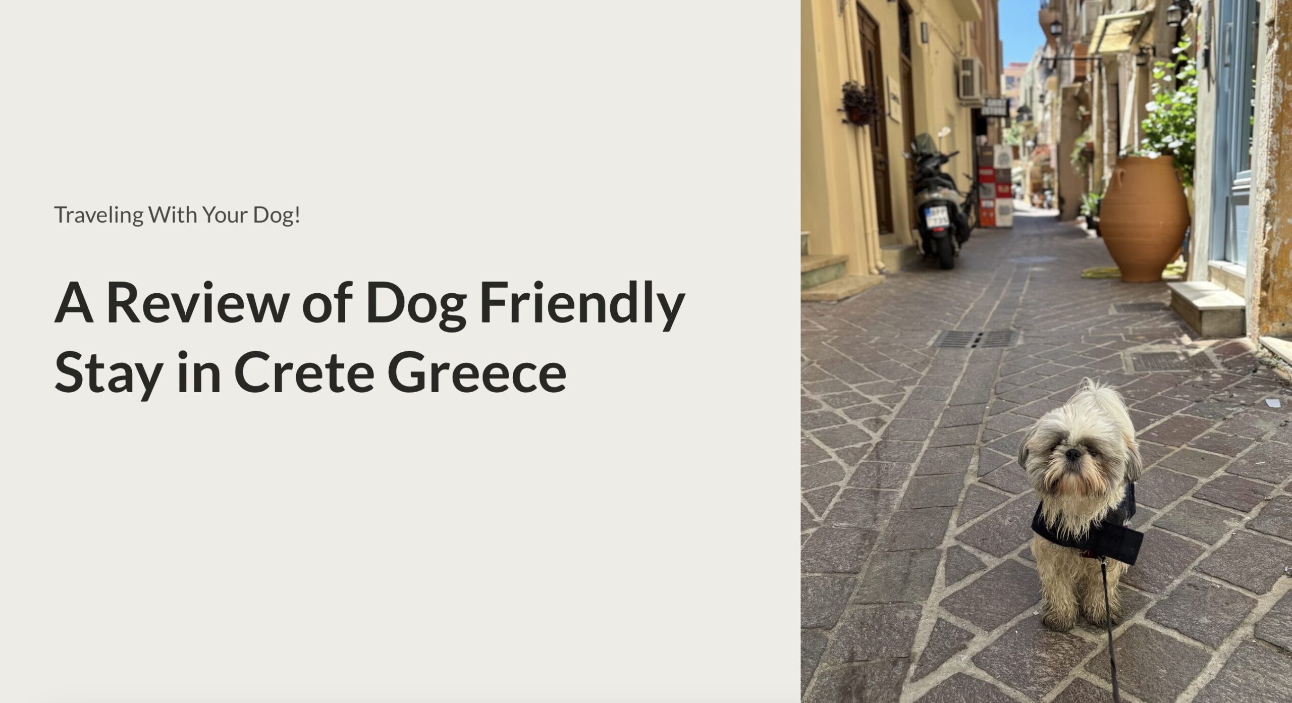 dog friendly Crete