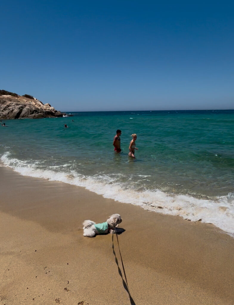Ligaridia beach dog friendly