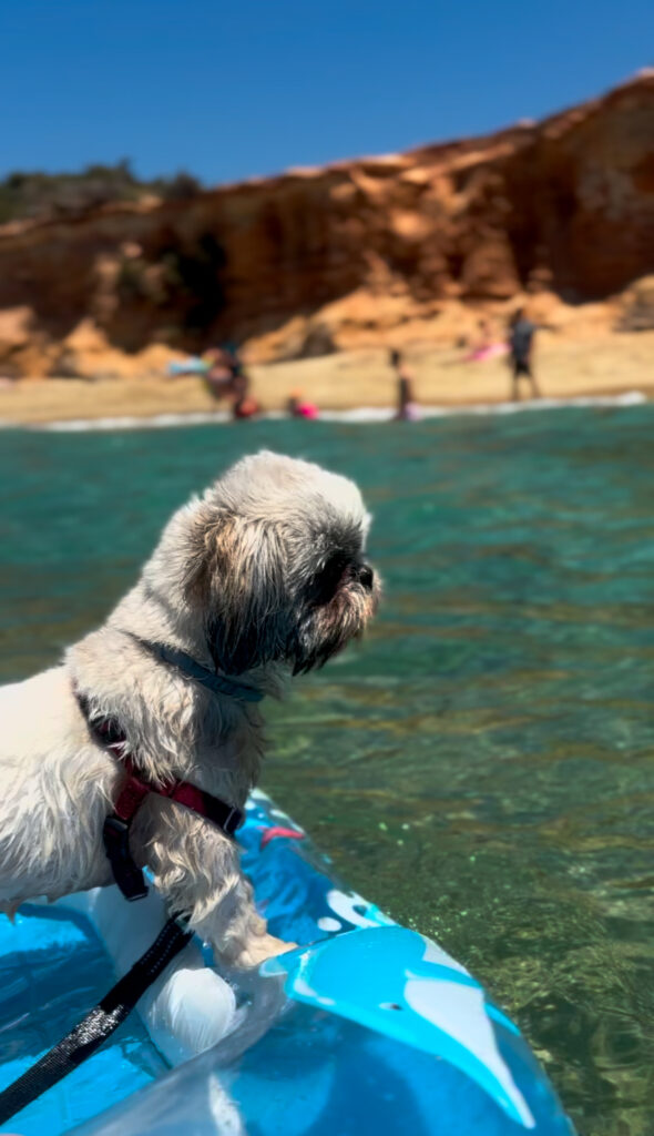 dog floaty naxos greece