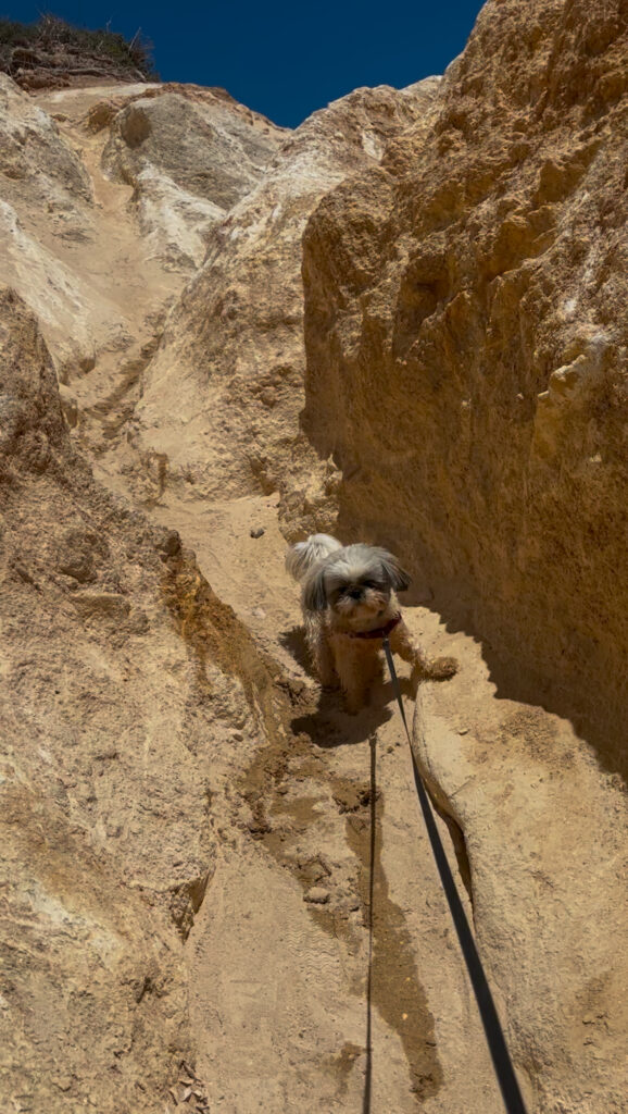 hike down to Aliko