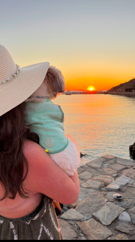 dog friendly naxos