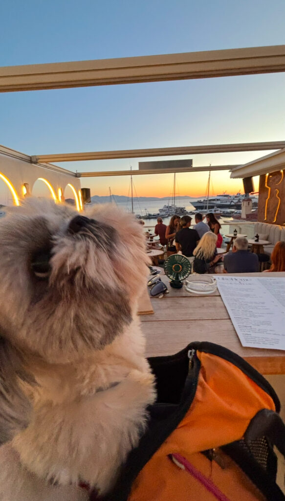 naxos best restaurant rooftop likehome