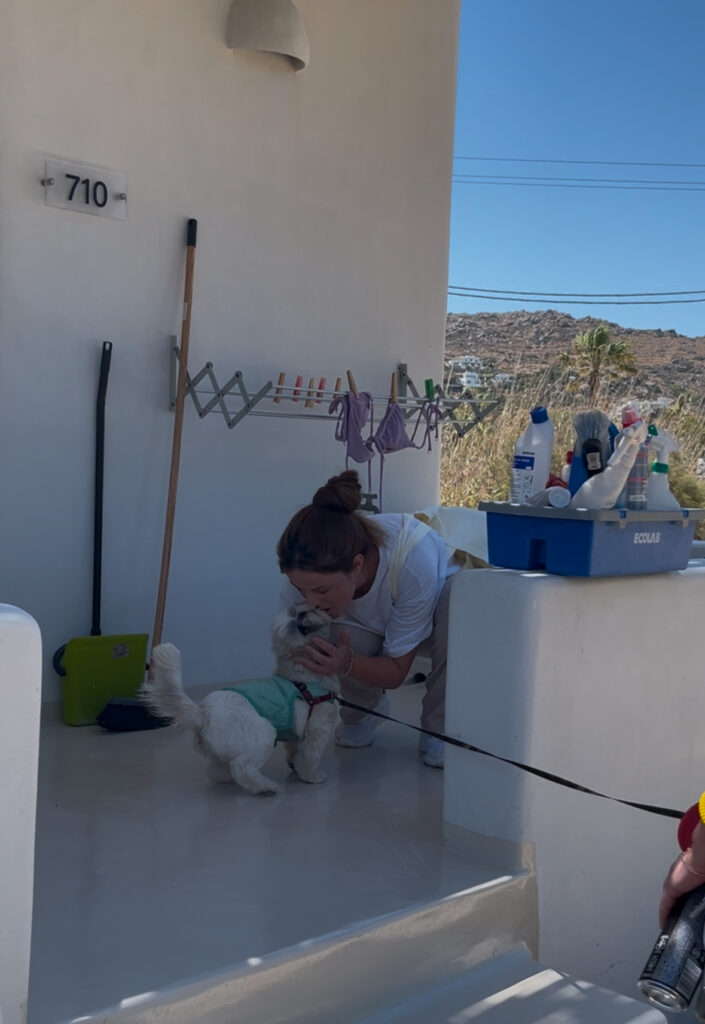 medusa naxos dog friendly resort