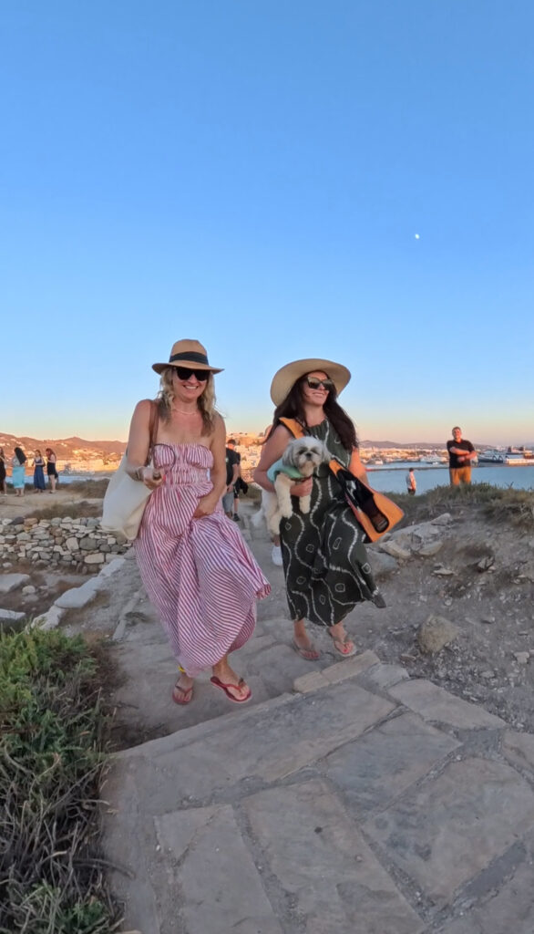 naxos town walk dog