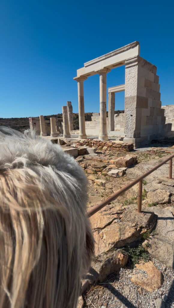 temple of demeter dog friendly