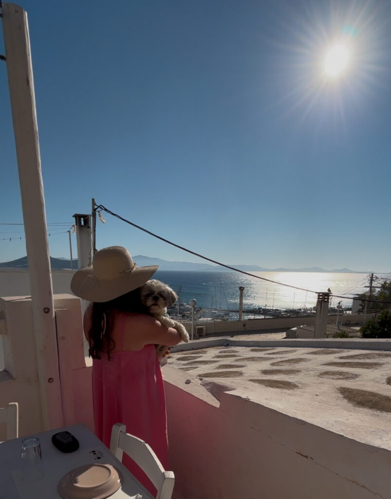 oniro wine bar naxos dog friendly