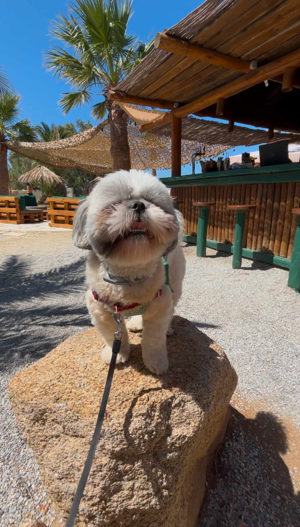 medusa resort naxos medusa resort naxos