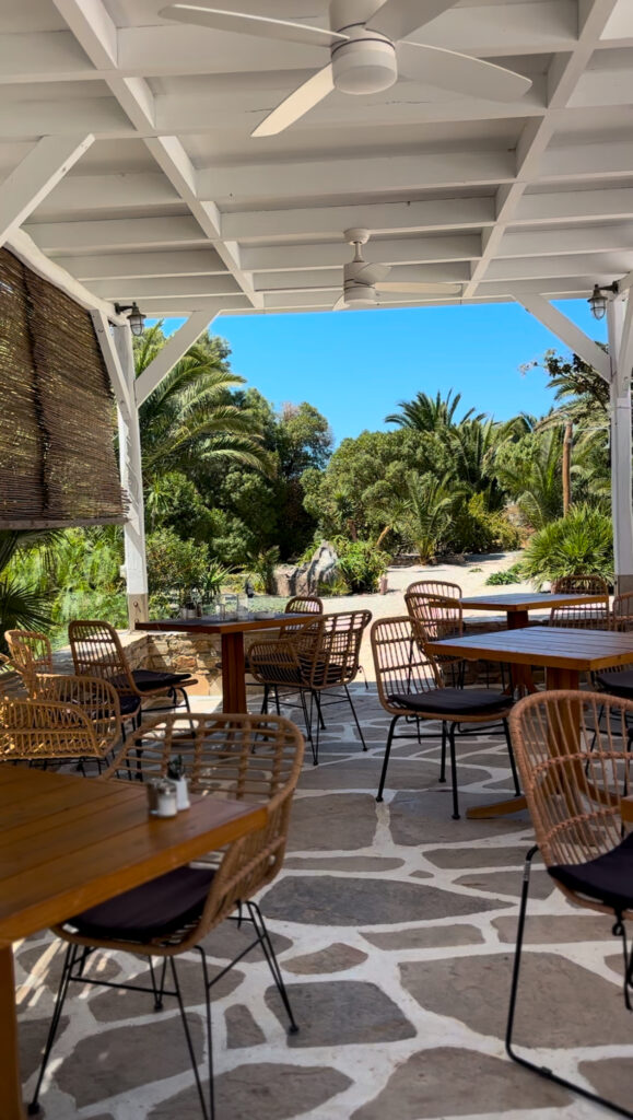 medusa naxos dog friendly resort