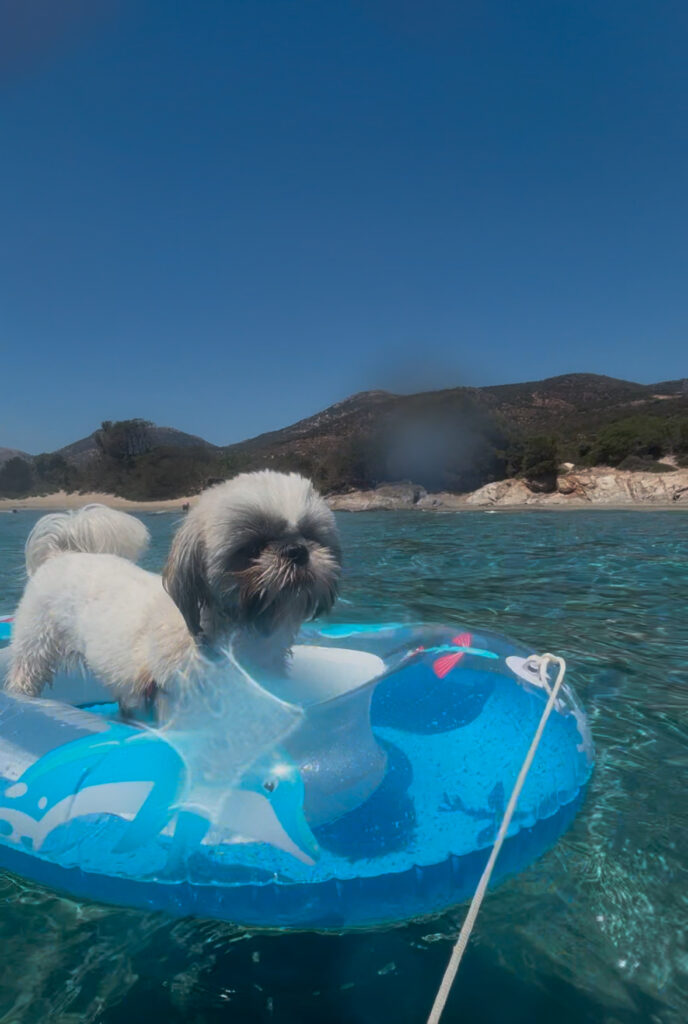 Ligaridia naxos beach