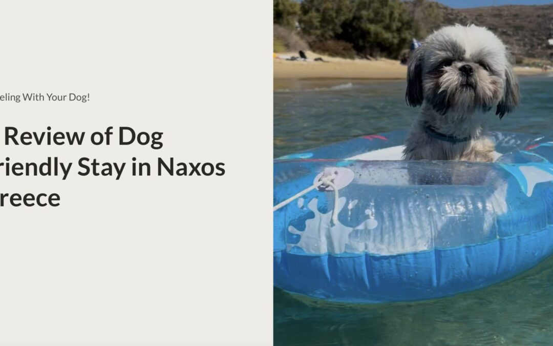 Naxos, Greece: The Ultimate Luxury Dog-Friendly Island Escape