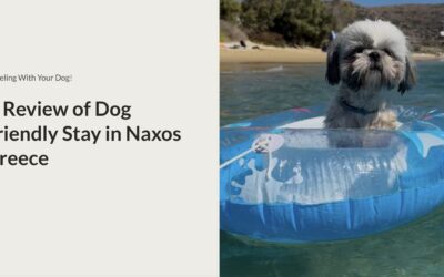 Naxos, Greece: The Ultimate Luxury Dog-Friendly Island Escape
