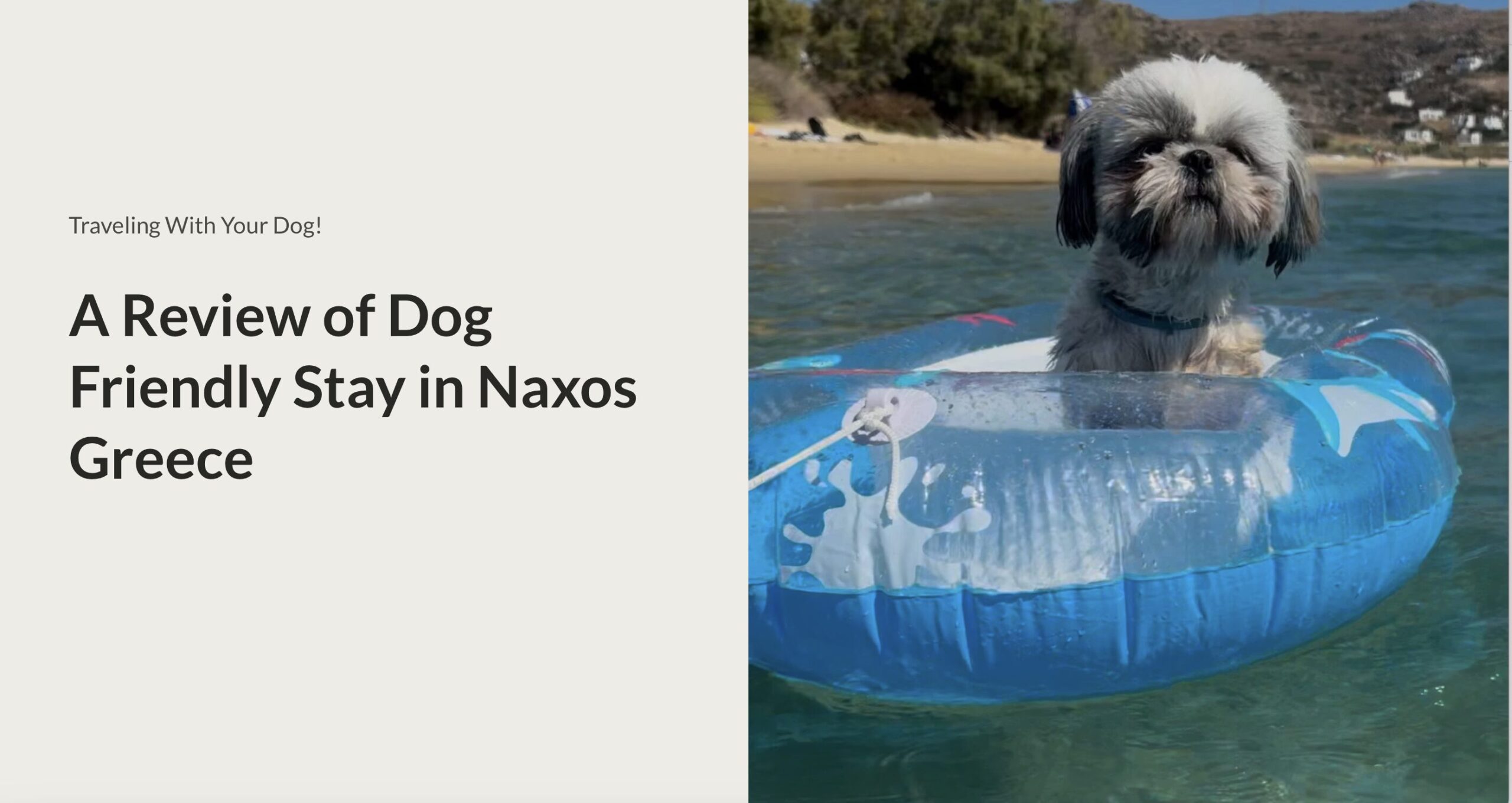 dog friendly naxos review