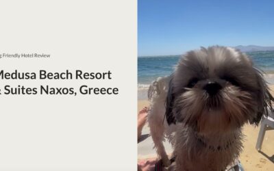 Medusa Suites Naxos: A Dog Friendly Complete Review