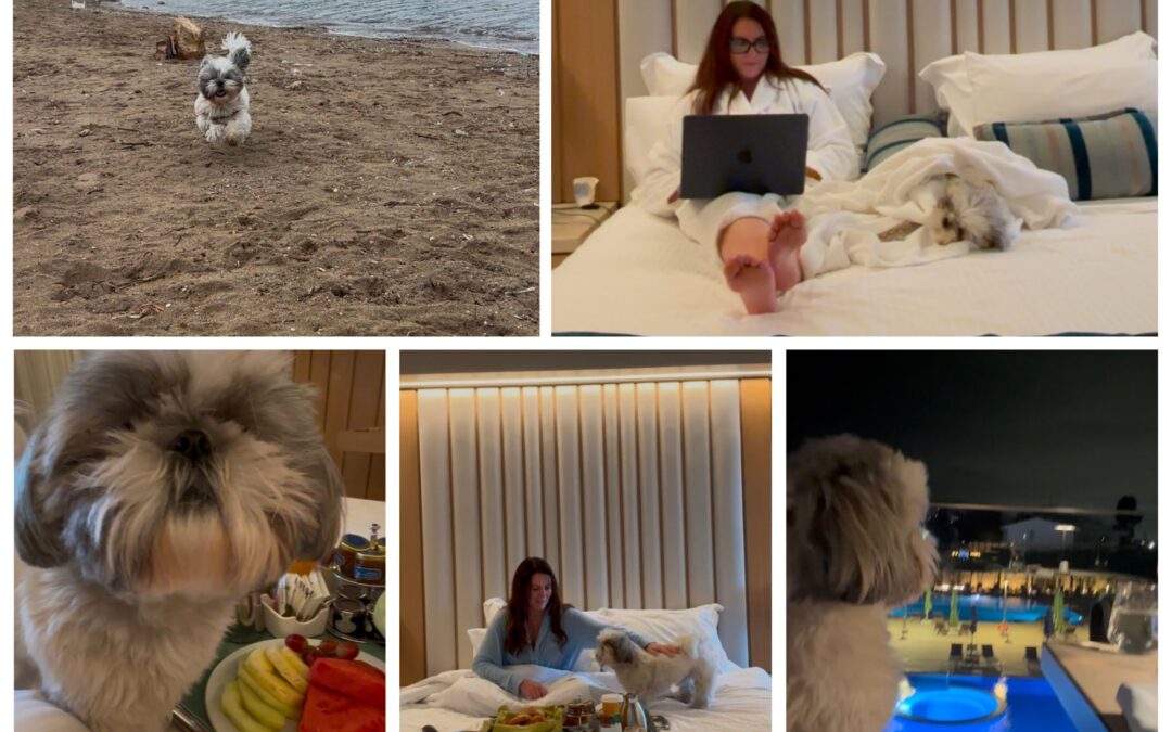 Divani Apollon Palace & Thalasso: Athens Rivera Pet Friendly Review