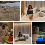 Divani Apollon Palace & Thalass dog friendly hotel athens