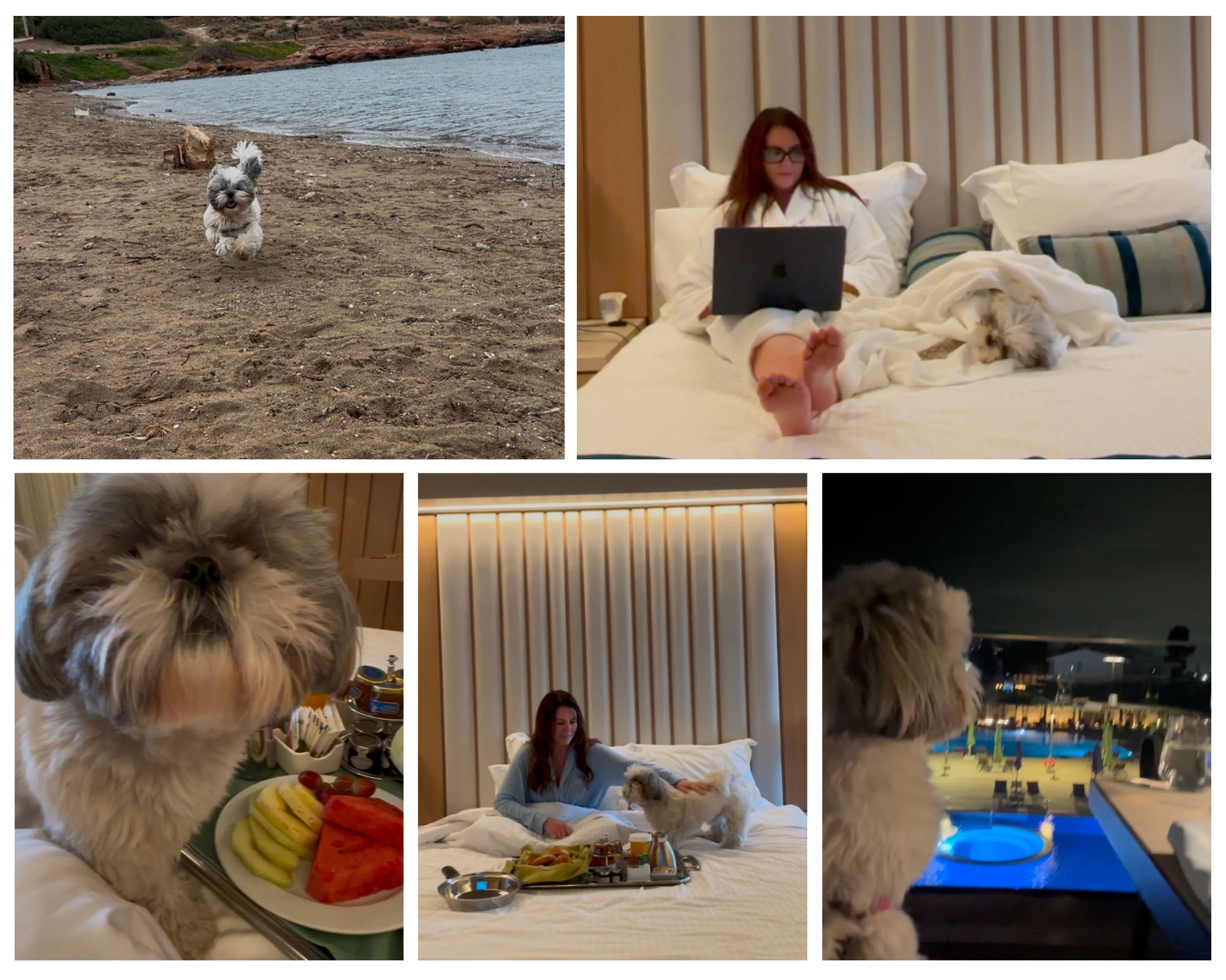 Divani Apollon Palace & Thalass dog friendly hotel athens Divani Apollon Palace & Thalass dog friendly hotel athens