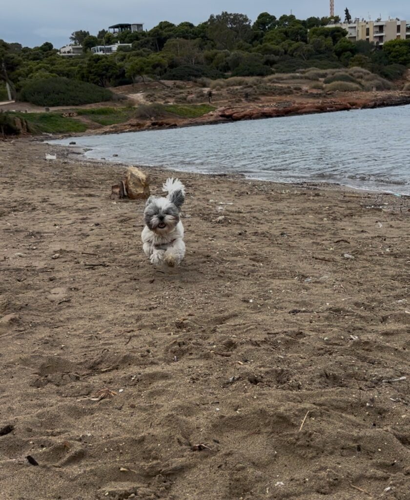 pet friendly coastal walks athens riviera greece