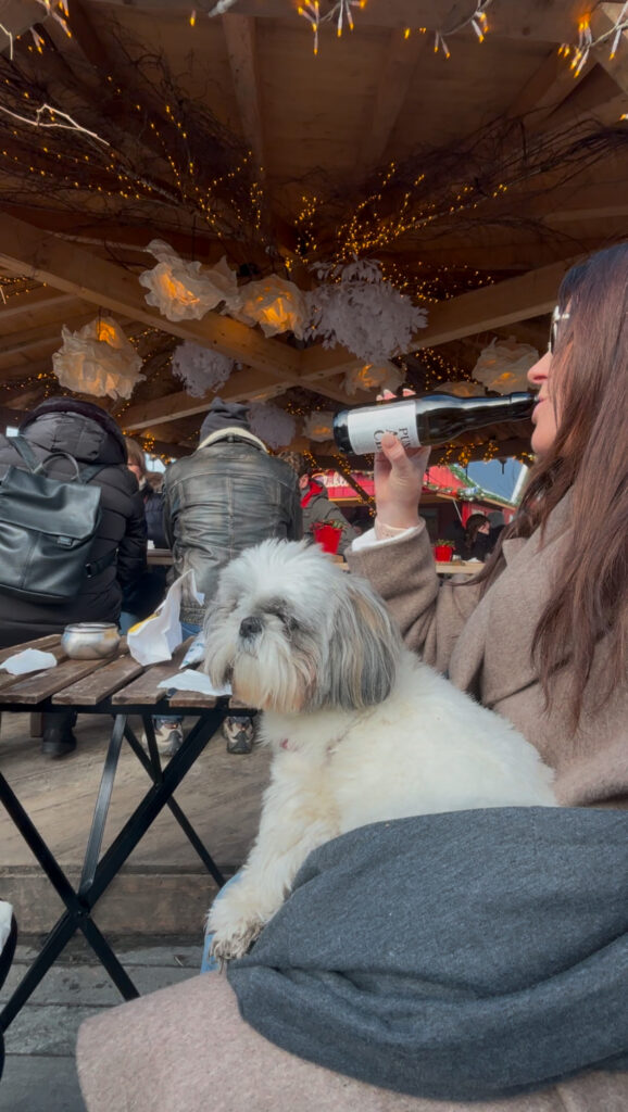 Dog friendly Christmas markets Zurich