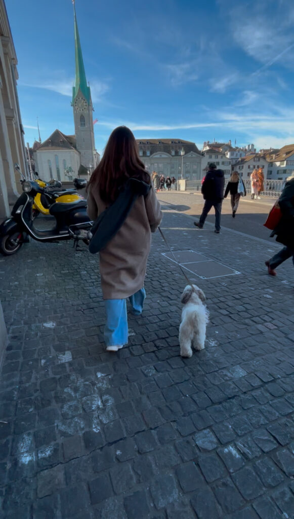 dog friendly sight seeing Zurich river